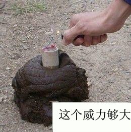 屎粑粑二踢脚