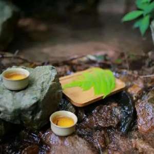谷雨 | 一杯香茗坐其间