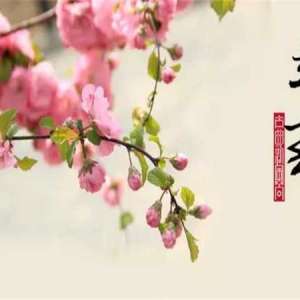 立春，寒尽待轮回。