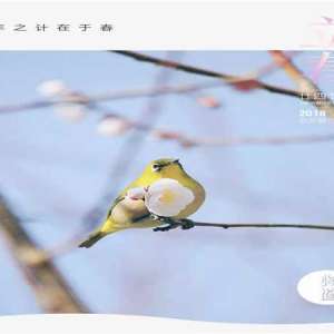 立春｜万物更新始于春