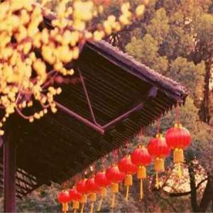 立春 || 春寒料峭，乍暖还寒