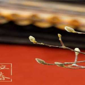 二十四节气 · 立春