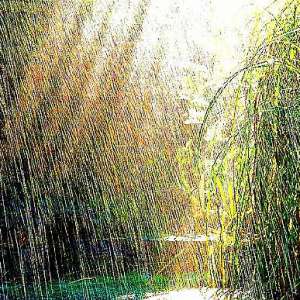 雨水节气