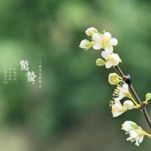月令七十二候集解试译之惊蛰