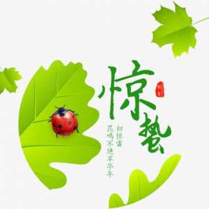 惊蛰茶语：一树梨花一溪月