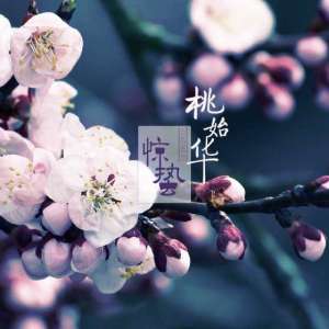 惊蛰节气的气候特点