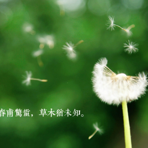 惊蛰的诗句：新燕雨