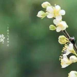 惊蛰习俗祭雷神