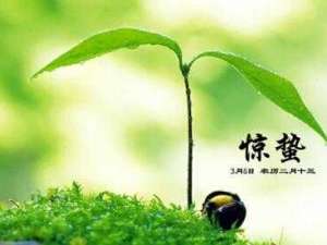 惊蛰的习俗 祭白虎化解是非
