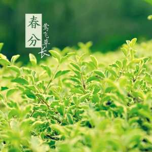 春分的含义