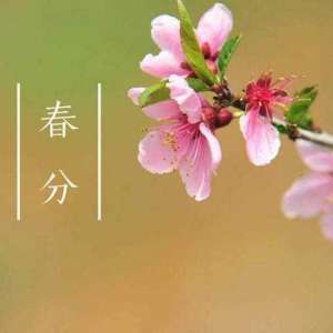 春分谚语