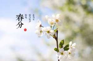 春分农事安排