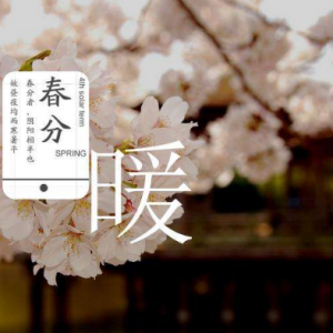 春分茶语：攸乐易武问茶忙