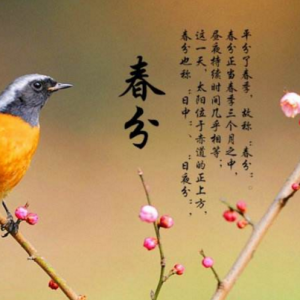 春分风俗