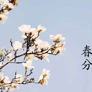 春分的诗句：暖媚春