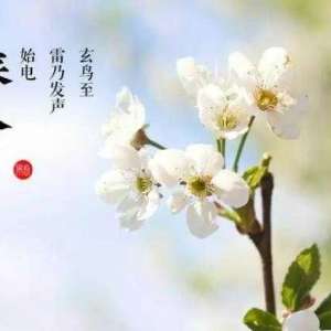 春分节气多运动可解春困