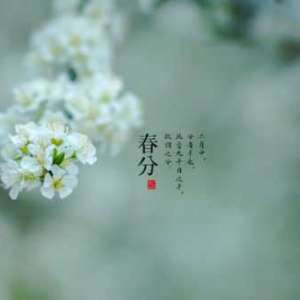 春分的节气特征有哪些