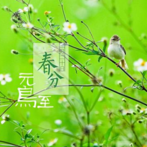 春分二月坐功