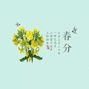 阴阳相半为春分