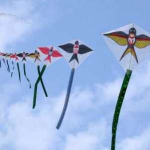 惠州重阳节登高、放风筝