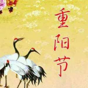 遍插茱萸少一人