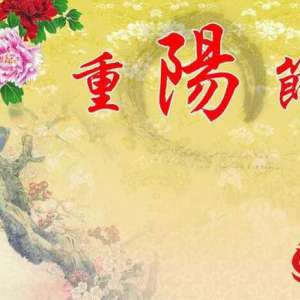 重阳节插茱萸，茱萸具体是什么呢？