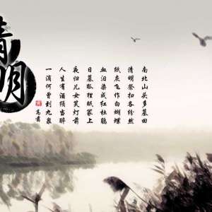清明不戴柳，红颜变皓首；清明不戴柳，死后变黄狗