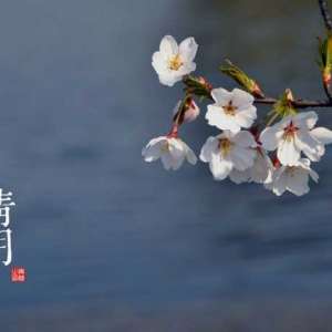 清明农谚农俗，与农业生产密切相关