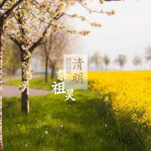 清明时节雨纷纷，清明挂坟