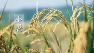 小暑节气的习俗