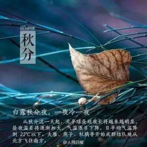 散文中的秋天