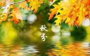 春分秋分昼夜平分，不一样的对半分