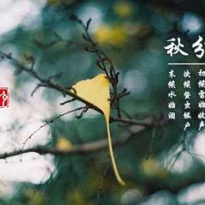 秋分——必知的中国节气知识