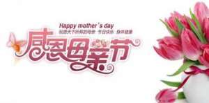 石竹花和母亲节