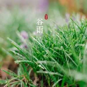 芳茶冠六情，滋味播九区。人生苟安乐，兹土聊百娱。