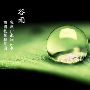 谷雨前后，天变暖，霜雪断