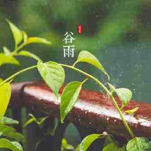 谷雨农事安排