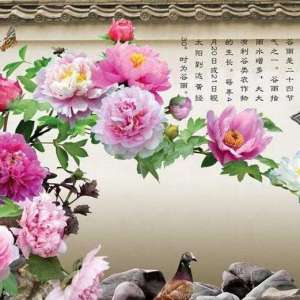 谷雨不忘进补