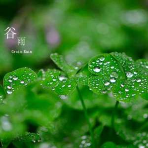 “随风潜入夜，润物细无声”的谷雨时分