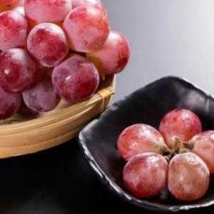 秋季养生多吃应季水果 秋季养生食疗大全