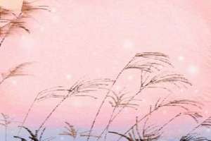 寒露的节气特点是什么?