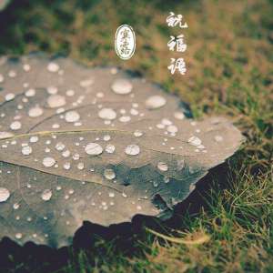 寒露节气有哪些祝福语呢？不妨说一说