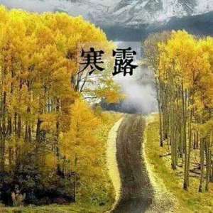 描写寒露节气的诗句都有哪些？