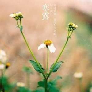 寒露节气最宜吃的水果