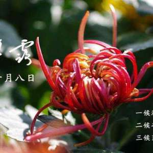 《月令七十二候集解》——寒露凝白
