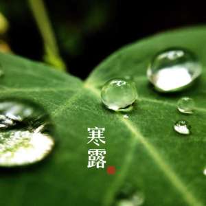 寒露茶语：茶烟轻煦以熏月