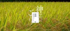 寒露吃什么好 宜食蜂蜜少食辣
