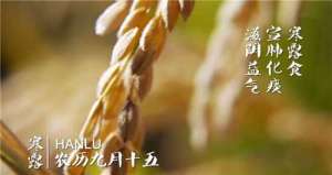 吃了寒露饭，单衣汉少见——寒露谚语