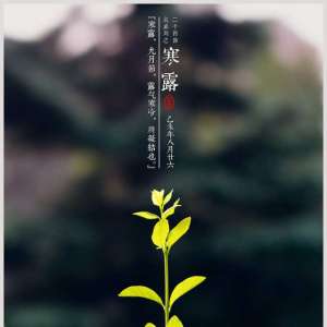 寒露节气 外出观赏红叶需注意事项