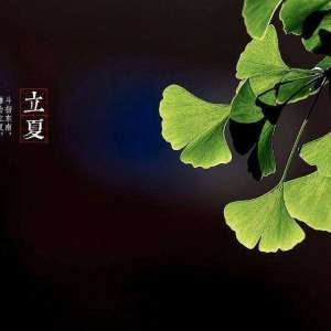立夏节气概述